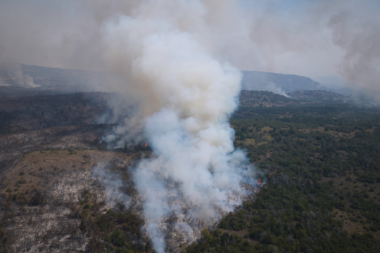 Σε κατάσταση έκτακτης ανάγκης η Αργεντινή, στάχτη η Παταγονία